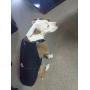 Canine Weight Set Anxiety/Aggression/Control Heavy Duty Dog Vest/Harness
