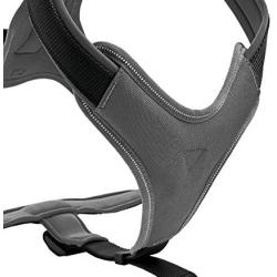 HUNTER Neoprene Dog Harness