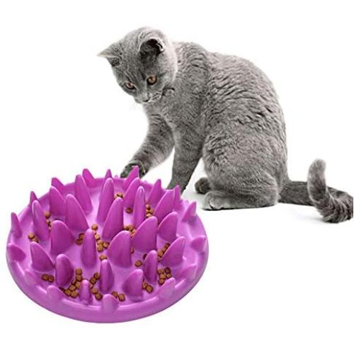 PIVBY Cat Catch Interactive Feeder - Slow Feed Bowl Anti-gulping Bloat Stop Pet Bowl for Dog Puppy