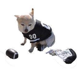 Dog Gone Cute by Lous Doggie Boutique 4 Piece Football Costume (Jersey, Pants, Helmet and Toy Ball)-Extra Small (XS)