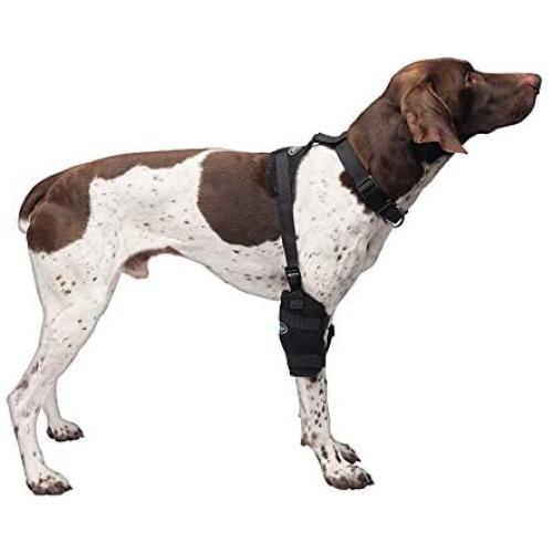 Caldera Pet Therapy Universal Wrap Carpal/Elbow with Gel, Medium, Black (PET205)