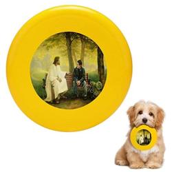 Pet Frisbee Flying Disc Dog Toy - Multifunction 2 Lost and Found Greg Olsen