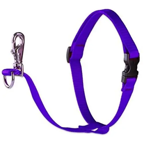 Lupine 3/4 Inch No Pull Harness for Small and Medium Dogs Lupine 3/4 Inch No Pull Harness for Small and Medium Dogs