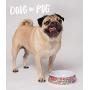 Outward Hound Doug The Pug Dog Toy/Bowl