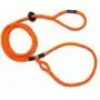 Harness Lead, Escape Resistant Leash, Reduces Pull, Dog Harness Harness Lead, Escape Resistant Leash, Reduces Pull, Dog Harness