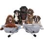 Gozier Double Diner Pet Bowls Cups, Stainless Steel Food Water Bowls Bunny Feeder Coop Cups with Non Slip Feeding Station for Dogs Cats Rabbit Bird Medium Large Animals in Crate Cage