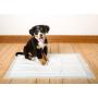 Hartz Home Protection Dog Pads for All Dog Sizes - Super Absorbent and Wont Leak: Odor Eliminating Lavender Scent, Unscented, and Quilted Plus