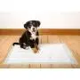 Hartz Home Protection Dog Pads for All Dog Sizes - Super Absorbent and Wont Leak: Odor Eliminating Lavender Scent, Unscented, and Quilted Plus Hartz Home Protection Dog Pads for All Dog Sizes - Super Absorbent and Wont Leak: Odor Eliminating Lavender Scent, Unscented, and Quilted Plus