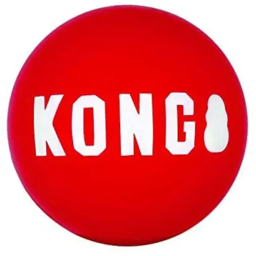 KONG KONG