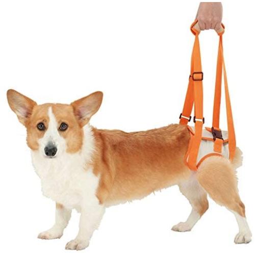 ZJWD Dog Lift Harness - Dog Lift Support Harness for Weak Rear Legs,Support and Rehab Harness, All Season Available,M