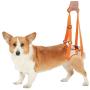 ZJWD Dog Lift Harness - Dog Lift Support Harness for Weak Rear Legs,Support and Rehab Harness, All Season Available,M