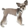 Puppia PARA-HC1532-GY-L Grey Algo Harness C Pet-Vest-Harnesses