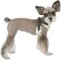 Puppia PARA-HC1532-GY-L Grey Algo Harness C Pet-Vest-Harnesses Puppia PARA-HC1532-GY-L Grey Algo Harness C Pet-Vest-Harnesses