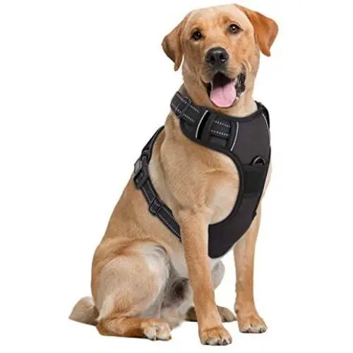 Pawaboo Dog Harness, No Pull Pet Vest Harness Adjustable Reflective Oxford Soft Padded Easy Control Handle for Outdoor Walking, Suitable for Small, Medium, Large Dogs Pawaboo Dog Harness, No Pull Pet Vest Harness Adjustable Reflective Oxford Soft Padded Easy Control Handle for Outdoor Walking, Suitable for Small, Medium, Large Dogs