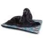 DayDayFun Narwhal Pet Mat for Crate Underwater Life Themed Whale and Bird Feather Illustration Colorful Design Bite-Resistant Pet Mat Multicolor