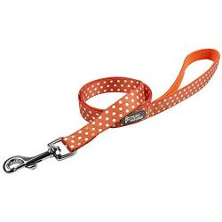 Rhea Rose Cute Dog Harness Pet Soft Adjustable Vest Best Reflective Walking Harness Easy Control for Small Medium Large Dogs