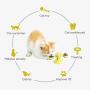 MBTRY Cats Ball Windmill Catnip Toy Interactive Chew Toys for Indoor Cat Turntable Teasing Interactive Toy, Funny Kitten Windmill Ball, Massage Scratching Tickle