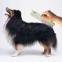 DOMEI Professional Dog Grooming Steel Combs, Stainless Steel Dog Combs for Grooming, Greyhound Comb for Dogs Professional