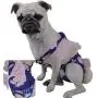 Bonario Dog Diapers Puppy Doggie Sanitary Panties Suspender for Female Small Girl Dogs with Tighten Strap Washable & Reusable for Pets (L(Chest17.7〃 Back13.7〃)) Bonario Dog Diapers Puppy Doggie Sanitary Panties Suspender for Female Small Girl Dogs with Tighten Strap Washable & Reusable for Pets (L(Chest17.7〃 Back13.7〃))