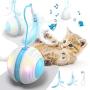 Biilaflor Interactive Cat Ball Toys with Bird Sound, Led Light, Detachable Protective Rubber Shell, USB Charging, Automatic 360° Rolling, 2 Feathers & Bell, Robotic Cat Moving Toys for Indoor Cats