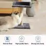 TunTenDo Cat Climbing Frame Solid Wood sisal Small Pillar cat Tree cat Supplies Tease Cats wear-Resisting Jumping Toy Manufacturers spot