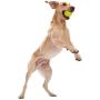 West Paw Rowdies with HardyTex, Plush Dog Toy (Judith, Orange Fur) & Zogoflex Jive Ball Dog Chew Toy (2-Inch, Tangerine)