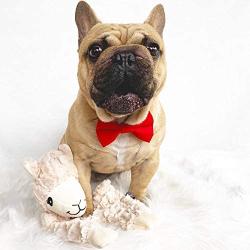 NANDOG Pet Gear My BFF Alpaca Crinkle Dog Toy – Plush Puppy Toy for Small and Medium Breed Non-Aggressive Chewers – Soft 15 Inch Dog Toy Provides Fun and Companionship