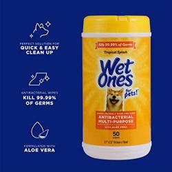 Wet Ones for Pets Antibacterial Multi-Purpose Dog Wipes with Aloe Vera | Antibacterial Dog Wipes for All Dogs in Tropical Splash, Wet Ones Wipes for Paws & All Purpose | 50 Ct Cannister Dog Wipes