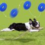Jia Xing Pet Toy Big Dog Molar Rubber Ball Built-in Sounder Toy Ball Molar Bite-Resistant Pet Toy Dog ​​Interactive Training Dog Toys for Medium Dogs