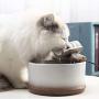 Ceramic Cat Water Fountain, Silent&Multilayer Filtering Cat Water Dispenser, Automatic Drinking Fountain for Pets (1.5L)