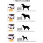 X@HE Tall Ceramic Dog Bowls Elevated, Adjustable Raised Dog Bowls Set, Standing Pet Feeding Dishes for Medium Large Breeds,White