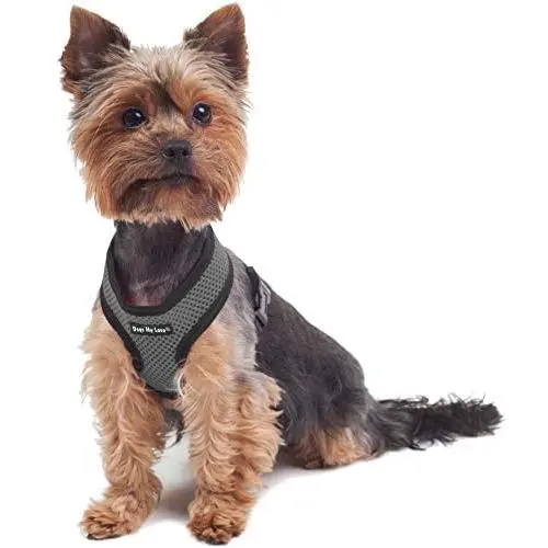 Dogs My Love Soft Mesh Walking Harness for Dogs and Puppies 6 Sizes Grey Dogs My Love Soft Mesh Walking Harness for Dogs and Puppies 6 Sizes Grey