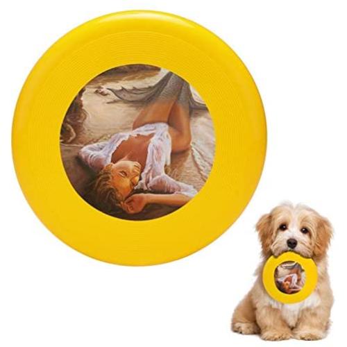 Pet Frisbee Flying Disc Dog Toy - Multifunction A Mermaid in The Sunset Love is Seduction Marco Busoni