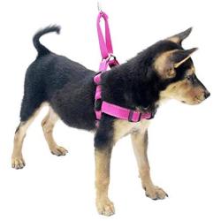 HIVVI Dog Harness No Pull, Solid Dog Leashes & Harness