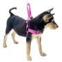 HIVVI Dog Harness No Pull, Solid Dog Leashes & Harness