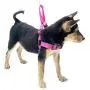 HIVVI Dog Harness No Pull, Solid Dog Leashes & Harness HIVVI Dog Harness No Pull, Solid Dog Leashes & Harness