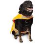 Reflective Dog Harness, Orange Safety Vest, Size Large (1 Pack)