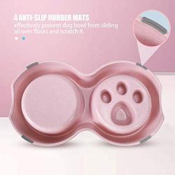HXN Slow Feeder Dog Bowls with Non-Slip Bottom, Double Cat Dog Feeder Cat Bowl with Detachable Stainless Steel Bowl, Dog Food and Water Bowl for Small Medium Dog Cat, Collapsible Dog Bowls as a Gift