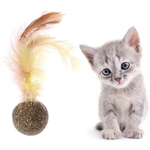 avbxcuecc Nature Kitten Cat Feature Toy Teeth Cleaning Cat Catnip Ball Pet Accessories