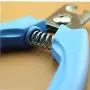 PJKKawesome Safety Dog Nail Clippers No Pain Safety Switch to Prevent Over Cut for Grooming Pet Nail Medium Sized Dog Blue S Pet Supplies PJKKawesome Safety Dog Nail Clippers No Pain Safety Switch to Prevent Over Cut for Grooming Pet Nail Medium Sized Dog Blue S Pet Supplies