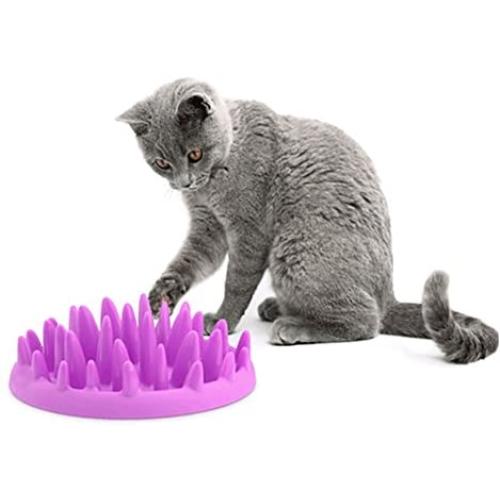 Patgoal Large Cat Catch Interactive Feeder Bowl Slow Feed Anti-gulping Bloat Stop Pet Bowl (Purple)