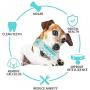 CYX Dog Chew Molar Stick Toys Clean Teeth Oral Care,Bite Resistant and Chewy-Resistant Health Materials Suitable,for Dental Care of Large Medium and Small Dogs Teeth Cleaning Toy for Pets-(Bule)