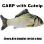 Pepoot Grass Carps Cat Toy Fish Plush Catnip Toys Fishes Shape Doll Interactive Pets Pillow Chew Bite Supplies for Cat Dogs (11.82'')