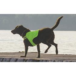 Dog Not Gone No Fly Zone Safety Vest for Dogs, Medium, Green