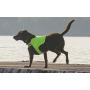 Dog Not Gone No Fly Zone Safety Vest for Dogs, Medium, Green