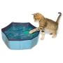 CROCI Swimming Pool Cat Toy, 30 x 10 cm