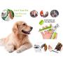 DIYUE Dog Cat Pets Nail Clippers and Trimmers with Safety Guard to Avoid Over Cutting, Free Nail File and Lock Switch, Professional Dog Nail Clipper Grooming Tools for Large Small Animal