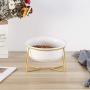 LIONWEI LIONWELI Glass Tilted Elevated Cat Dog Bowl Raised Cat Food Water Bowl Dish Pet Comfort Feeding Bowls with Gold Iron Stand