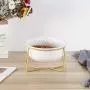LIONWEI LIONWELI Glass Tilted Elevated Cat Dog Bowl Raised Cat Food Water Bowl Dish Pet Comfort Feeding Bowls with Gold Iron Stand LIONWEI LIONWELI Glass Tilted Elevated Cat Dog Bowl Raised Cat Food Water Bowl Dish Pet Comfort Feeding Bowls with Gold Iron Stand