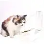 Double Dog Cat Bowls , 2 in1 Cats Waterer Cats Food Bowl Pet Automatic Water Dispenser Dogs Cats Waterer Feeder Bowl for Cats , Small Dog or Other Animals (L) Double Dog Cat Bowls , 2 in1 Cats Waterer Cats Food Bowl Pet Automatic Water Dispenser Dogs Cats Waterer Feeder Bowl for Cats , Small Dog or Other Animals (L)